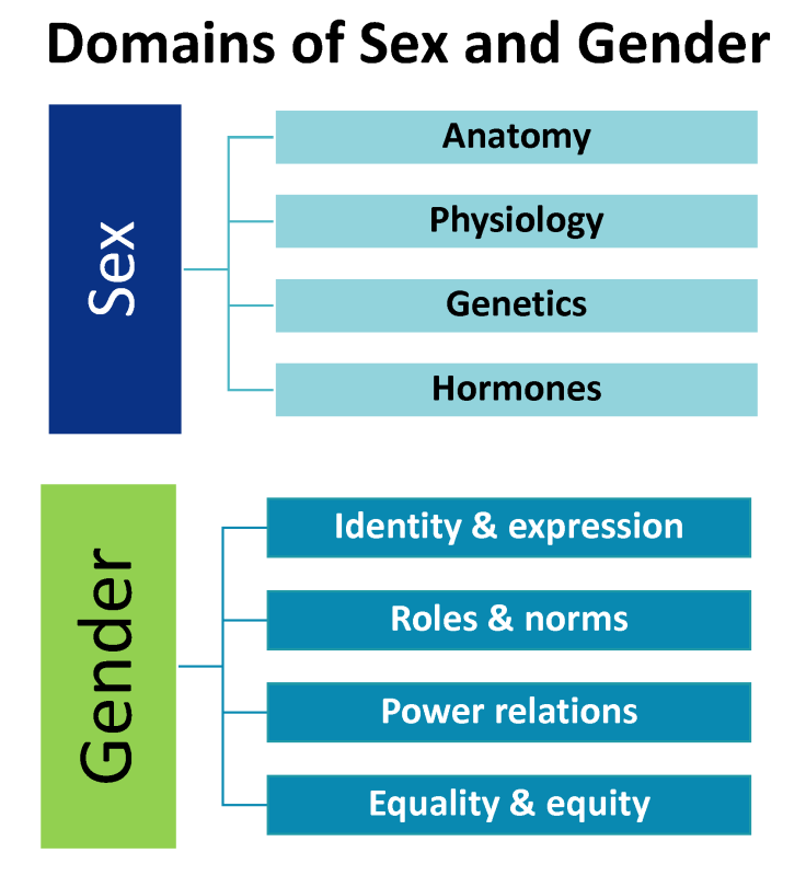 Gender As A Social And Cultural Variable And Health 0736